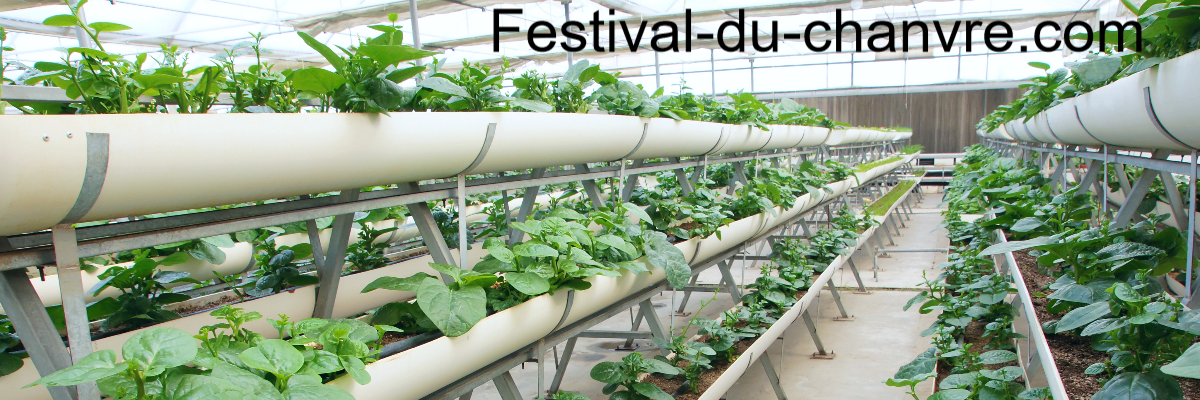 festival-du-chanvre.com